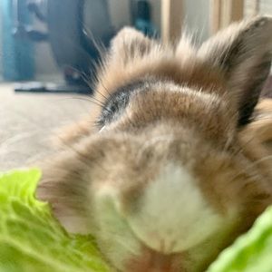 Meet your Posher, Natalie